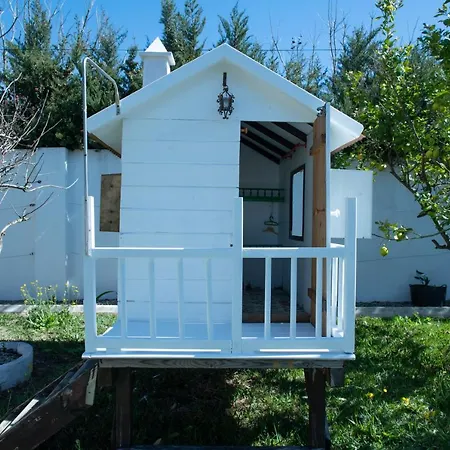 Encanto 콘일데라프론테라